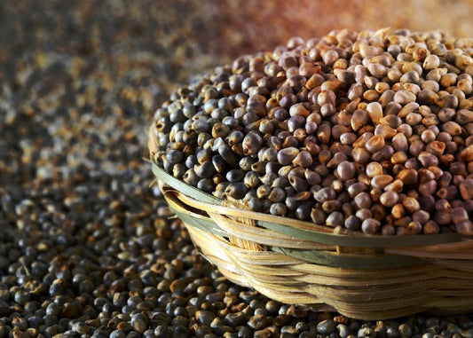 Bajra