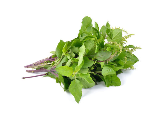 Basil Leaves