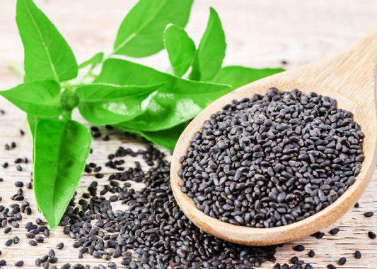 Basil Seeds