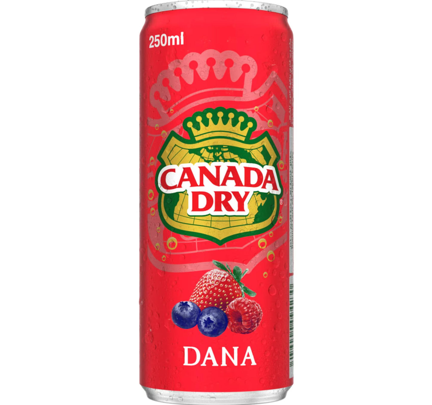 Canada Dry Dana Drink Value Pack 6 x 250 ml