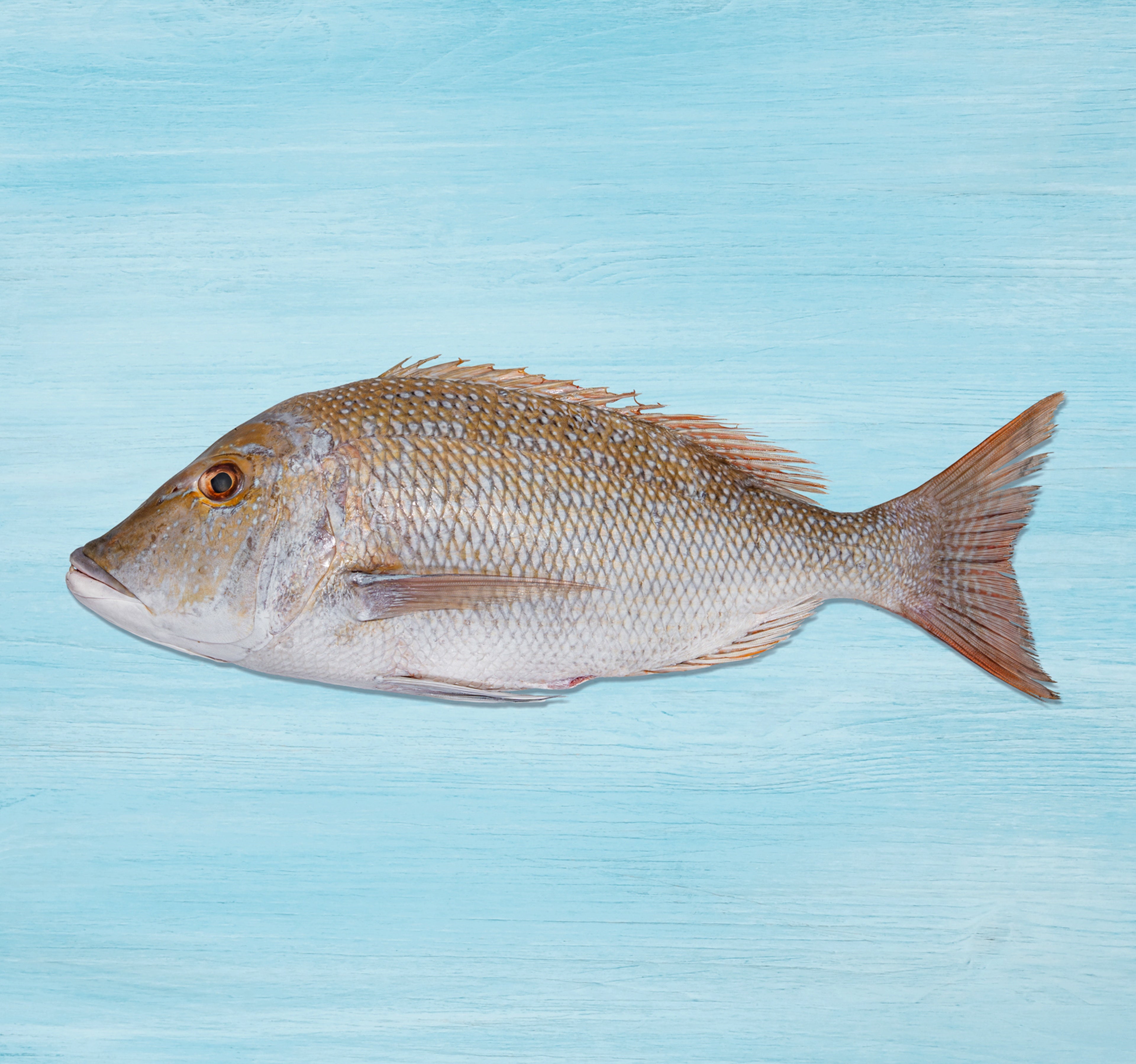Sheri Fish Big Whole Cleaned 1.25 kg – Shefs
