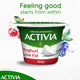 Activia Set Yoghurt Low Fat Value Pack 6 x 150 g