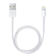 Apple Lightning to USB Cable MD819Z