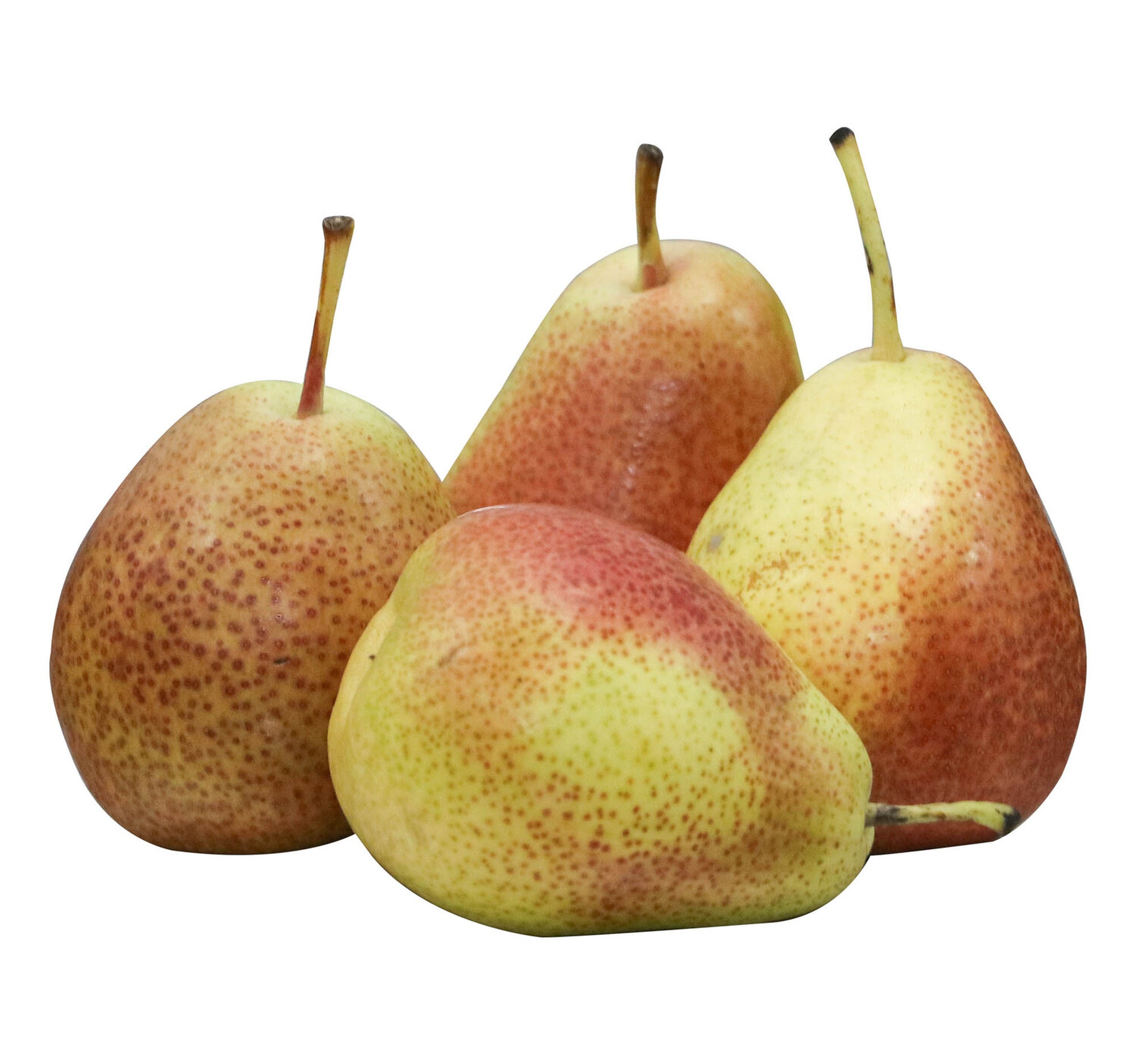 Pears Forelle South Africa 500 g
