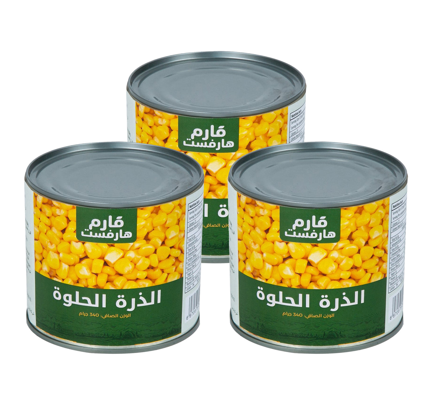 Saudia Tahini Classic Sauce 300 ml