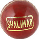 Cricket Ball
