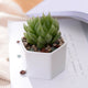 Maple Leaf 6pcs Flower Pot With Wooden Tray JL9115