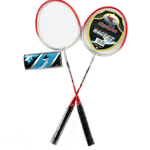 Sports Champion Badminton Set Bk2015