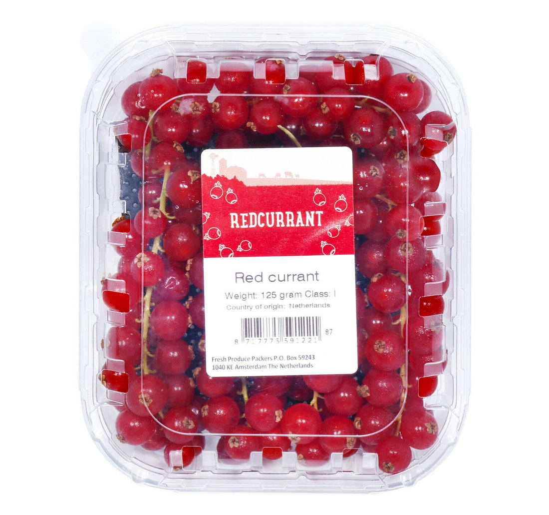 Red Currant Holland 1 pkt