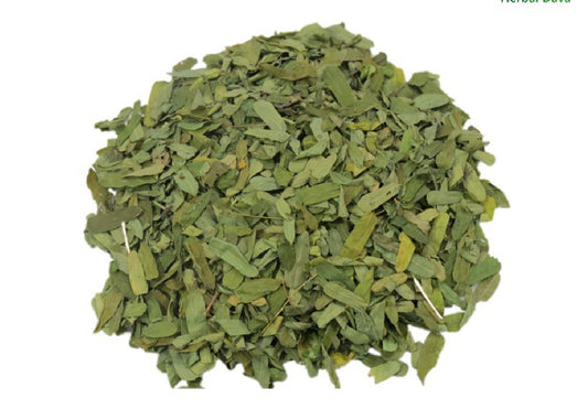 Chanoti Pan