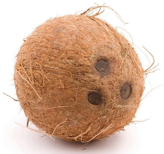 Coconut Whole India 1 pc