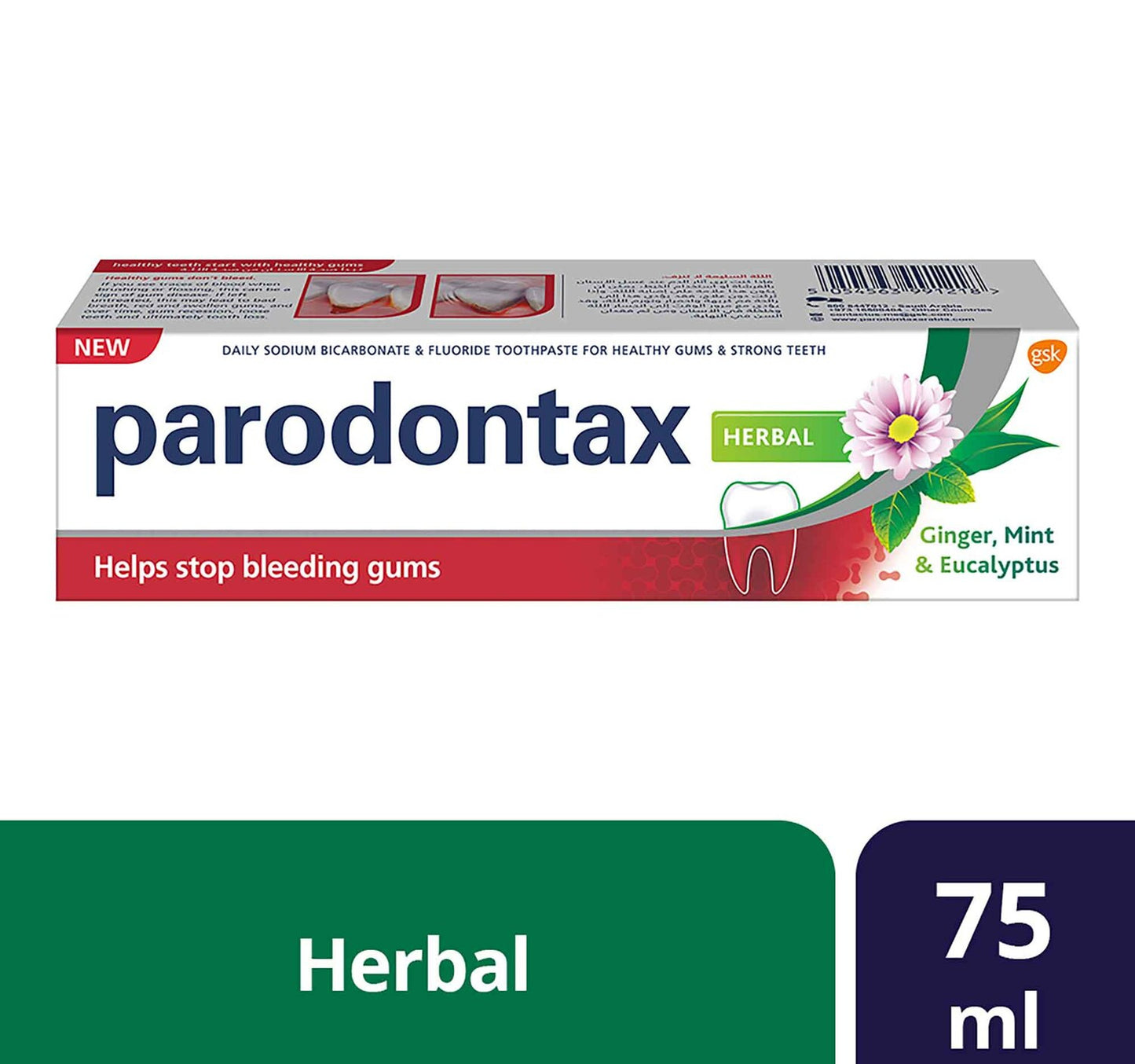 معجون أسنان بارودونتاكس العشبي بالزنجبيل والنعناع والأوكالبتوس 75 مل