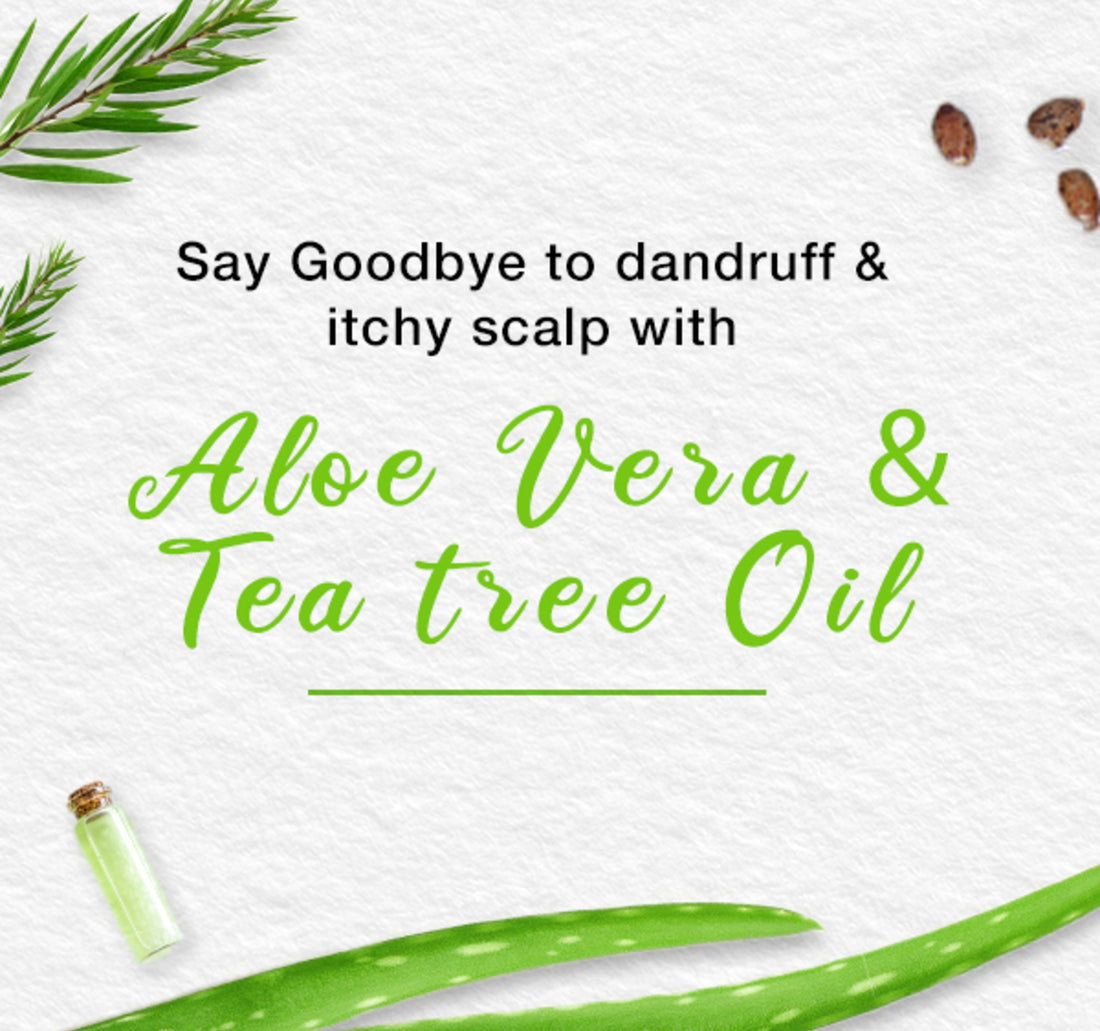 Himalaya Anti-Dandruff Hair Cream 210 ml