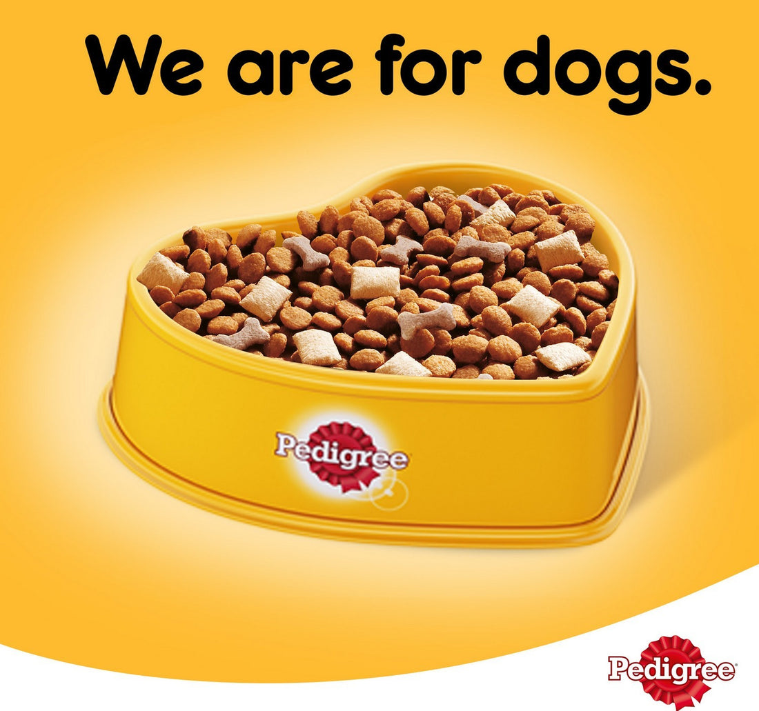 Pedigree Chicken & Vegetables Dry Dog Food (Adult) 3 kg