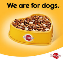 Pedigree Chicken & Vegetables Dry Dog Food (Adult) 3 kg