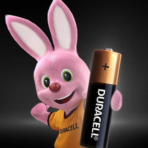 Duracell Type AA Alkaline Batteries, pack of 4