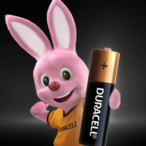 Duracell Type AA Alkaline Batteries, pack of 8