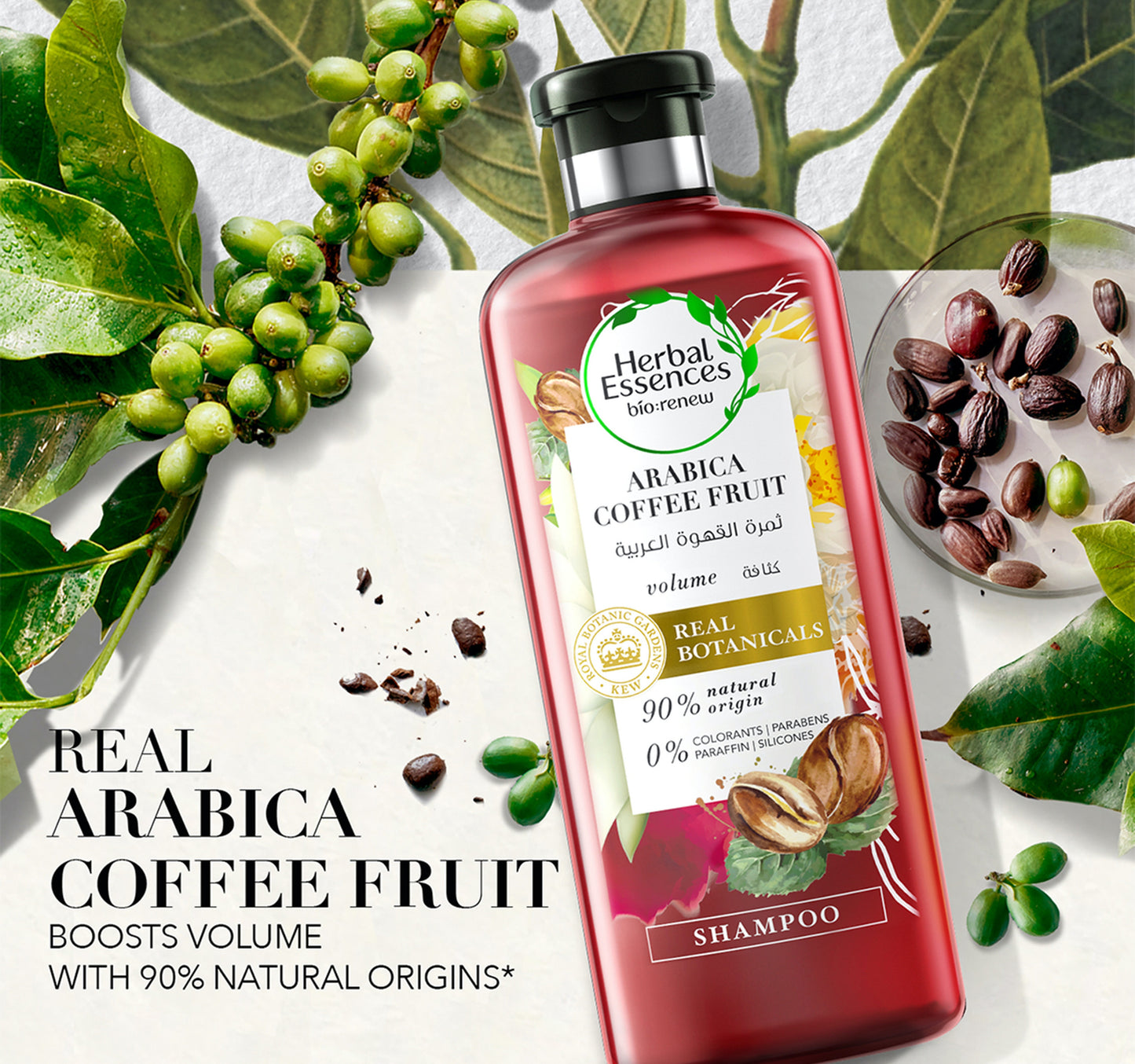 Herbal Essences Bio: Renew Volume Arabica Coffee Fruit Shampoo 400 ml