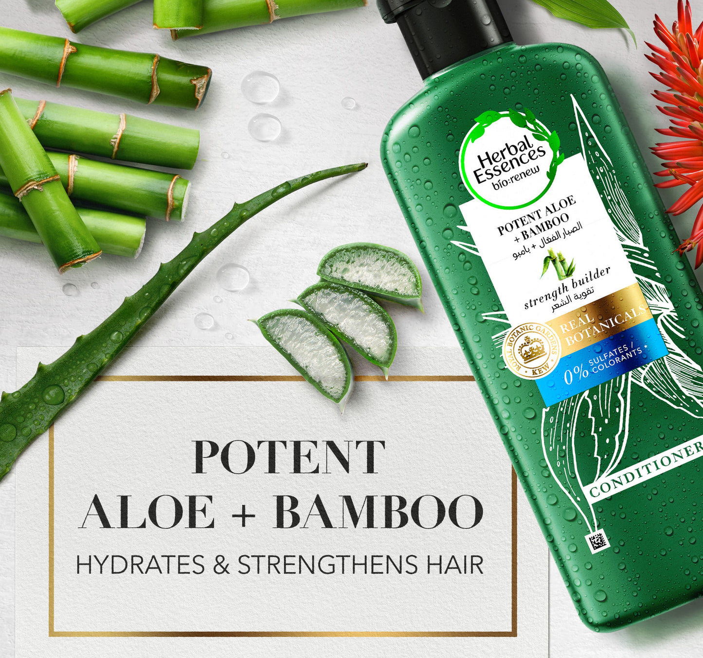 Herbal Essences Hair Strengthening Sulfate Free Potent Aloe Vera + Bamboo Natural Conditioner for Dry Hair 400 ml