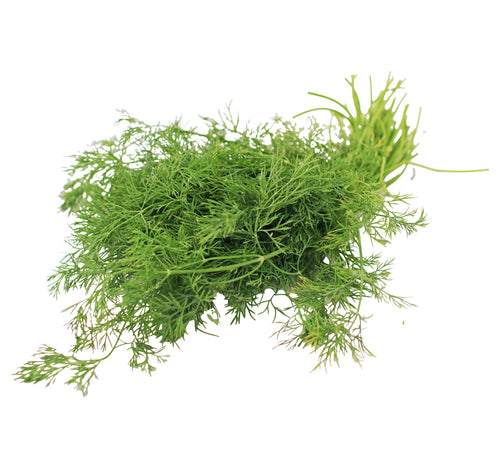 Spint Leaves (Dill) 1 Bunch