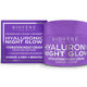 Biovene Hyaluronic Night Glow Restore Hydration Night Cream 50 ml