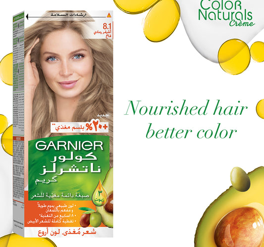 Garnier Color Naturals 8.1 Light Ash Blonde 1 pkt
