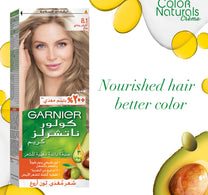 Garnier Color Naturals 8.1 Light Ash Blonde 1 pkt