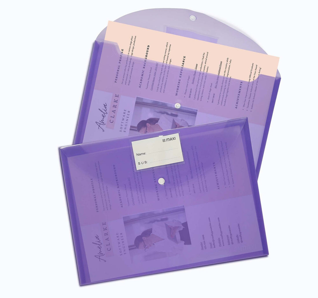 Maxi Free Size Clear Bag, Pack Of 3, Assorted, MX-300A