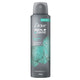 Dove Men+Care Anti-Perspirant Deodorant Spray Eucalyptus & Birch Plant-Based Moisturizer 72H Protection 150 ml