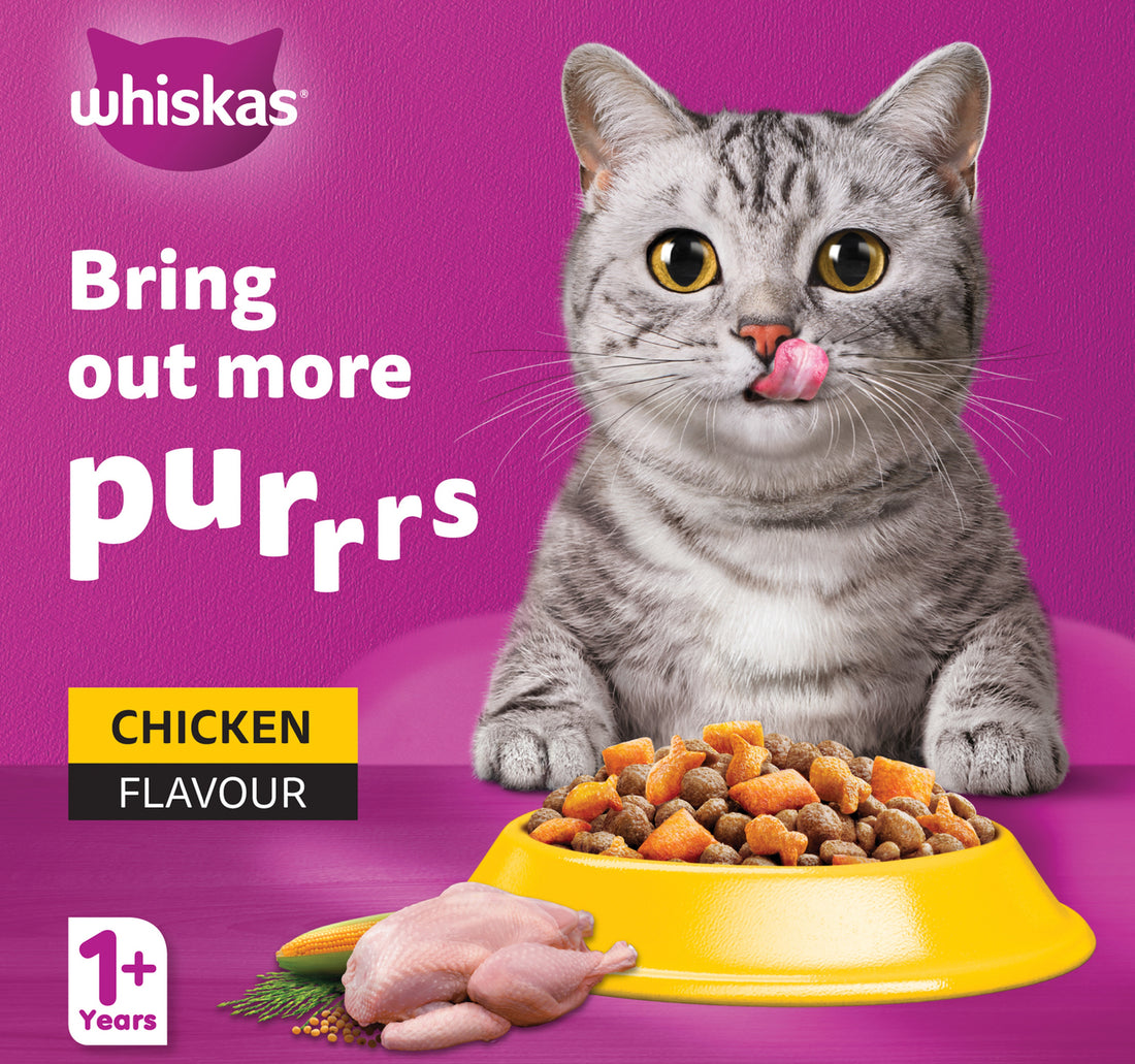 Whiskas Chicken Flavour Dry Food for Adult Cat 1+ Years 1.2 kg