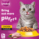 Whiskas Chicken Flavour Dry Food for Adult Cat 1+ Years 1.2 kg