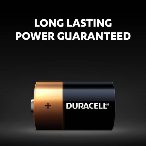 Duracell Type D Alkaline Batteries, pack of 2