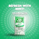 Tic Tac Fresh Mint Candy 18 g