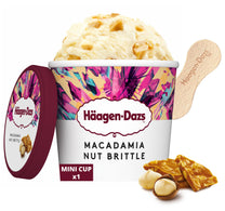 Haagen-Dazs Vanilla With Macadamia Nut Brittle Ice Cream 100 ml