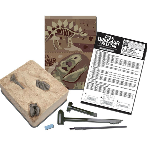 Branchisaurus Skeleton Excavation 3237