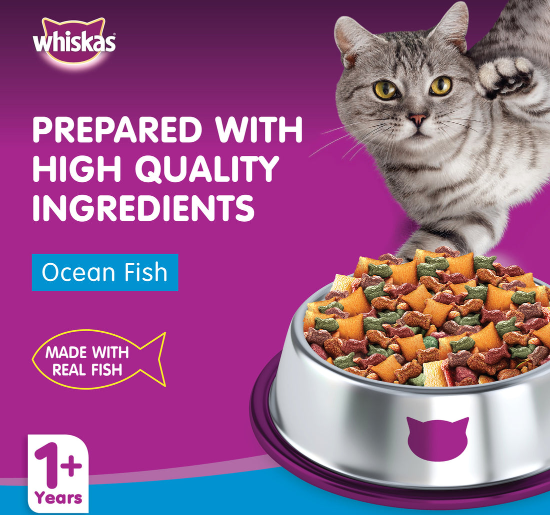 Whiskas Ocean Fish Dry Food for Adult Cats 1+ Years 480 g
