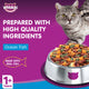Whiskas Ocean Fish Dry Food for Adult Cats 1+ Years 480 g
