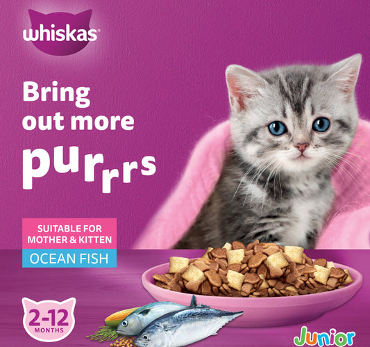 Whiskas Junior Ocean Fish Flavor Dry Food for Kitten 2-12 Months 1.1 kg