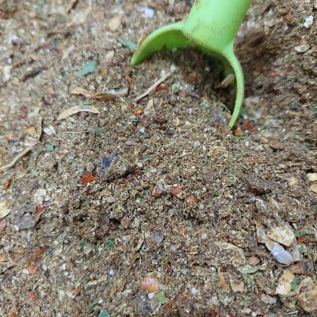 بهارات مطحونة