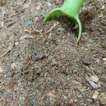 بهارات مطحونة