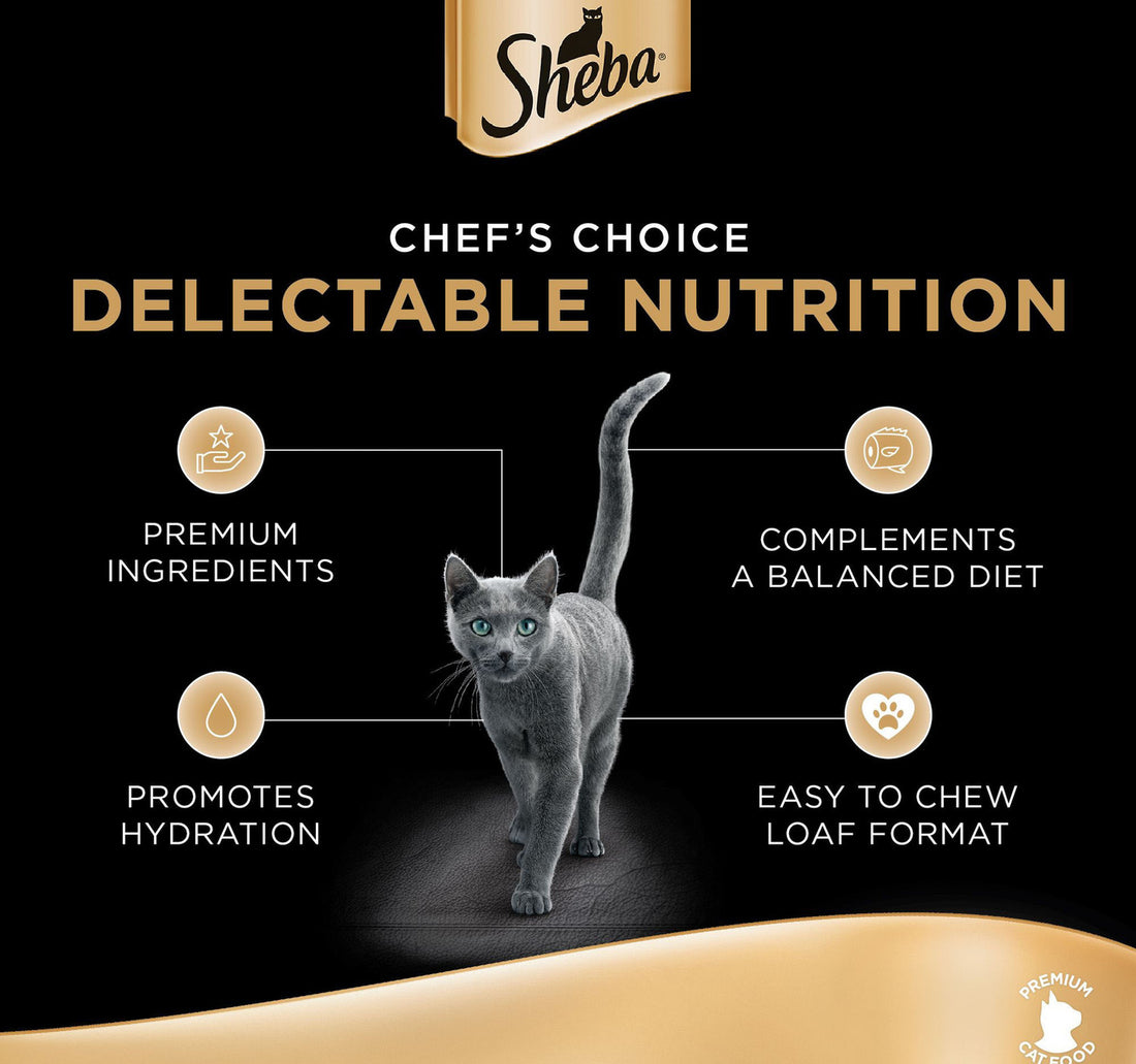 Sheba Chicken Premium Loaf Fine Food for Cats 12 x 70 g