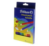 Pelikan Color Pencil 36 + Sharpener
