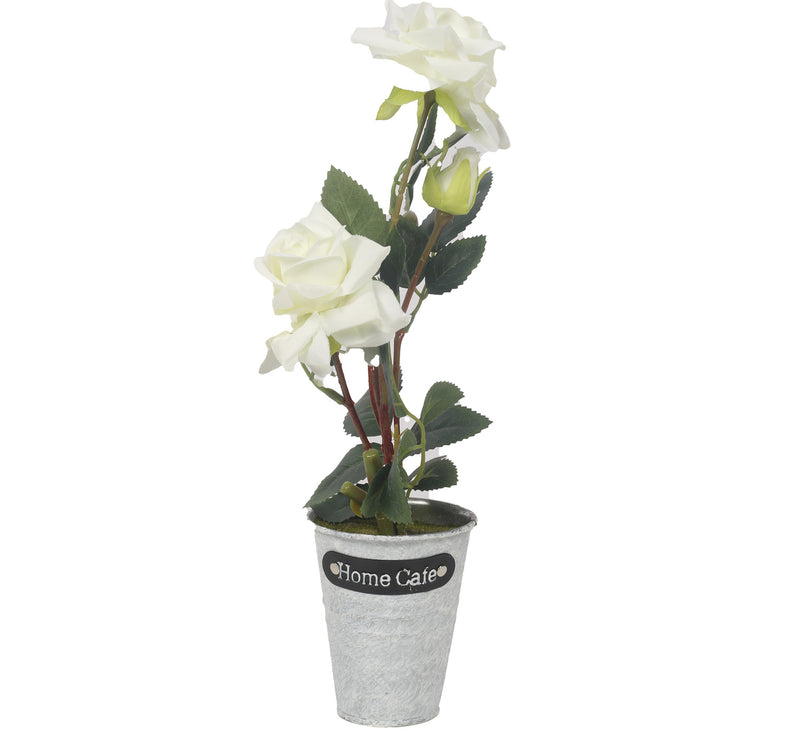 Maple Leaf Plant With Pot LM-22-S91 Assorted Colors