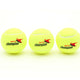 Sports Champion Tennis Ball 822-2 1x3