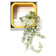 Maple Leaf Wall Hanging Plant SY-008 22.3cm