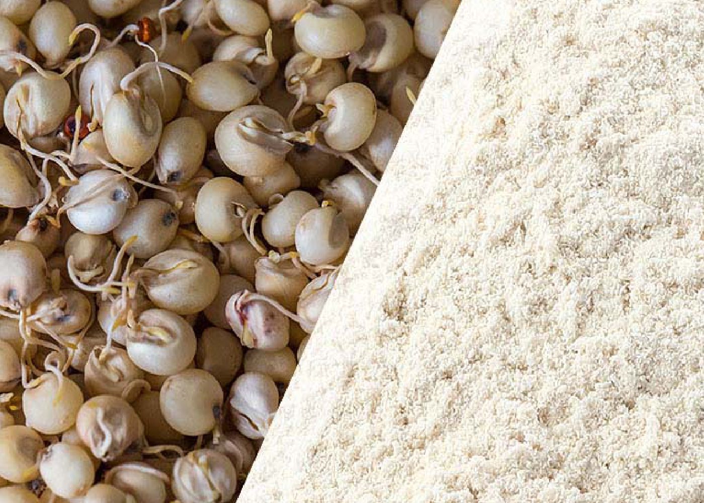 Joiwar Jowar Flour – Shefs