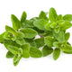 Marjoram