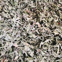 أوراق البقدونس المجففة