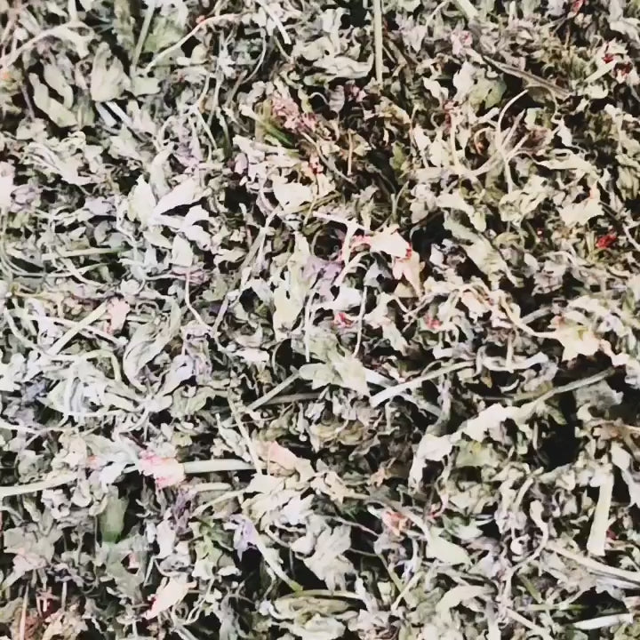 أوراق البقدونس المجففة