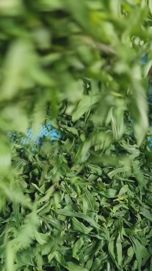Dried basil
